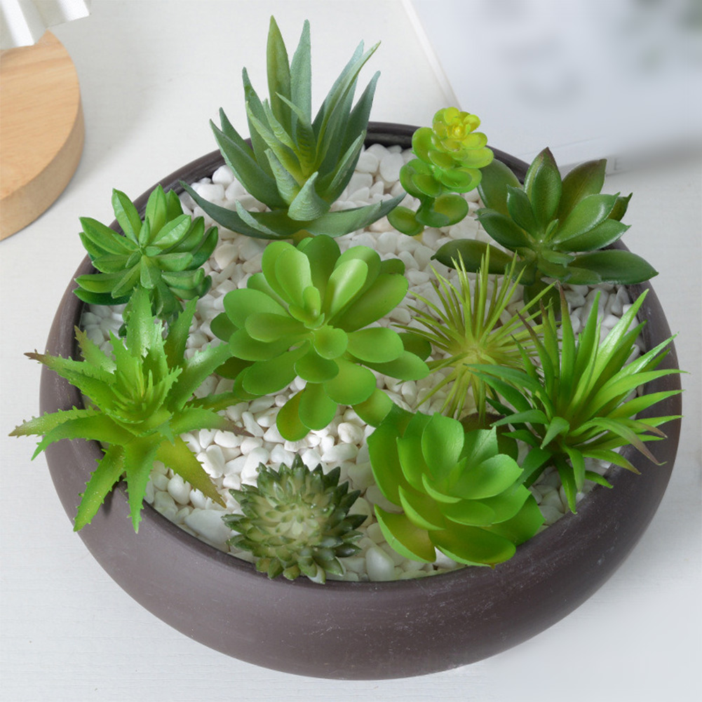 Succulent Arrangement Mini - Yapay Mini Bonsai Sukulent Aranjmanı Ev