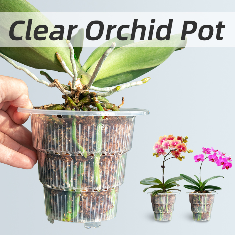 Plant Parent - Meshpot Şeffaf Plastik Orkide Saksıları, Küçük