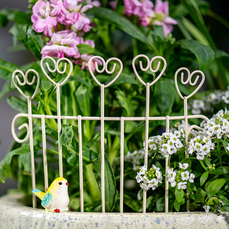 Succulent Arrangement Mini - Kaprisli Mini Demir Saksı Çiti Yaratıcı