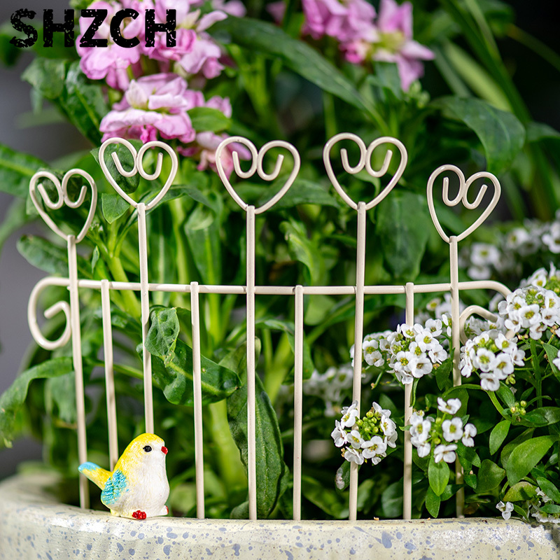 Succulent Arrangement Mini - Kaprisli Mini Demir Saksı Çiti Yaratıcı