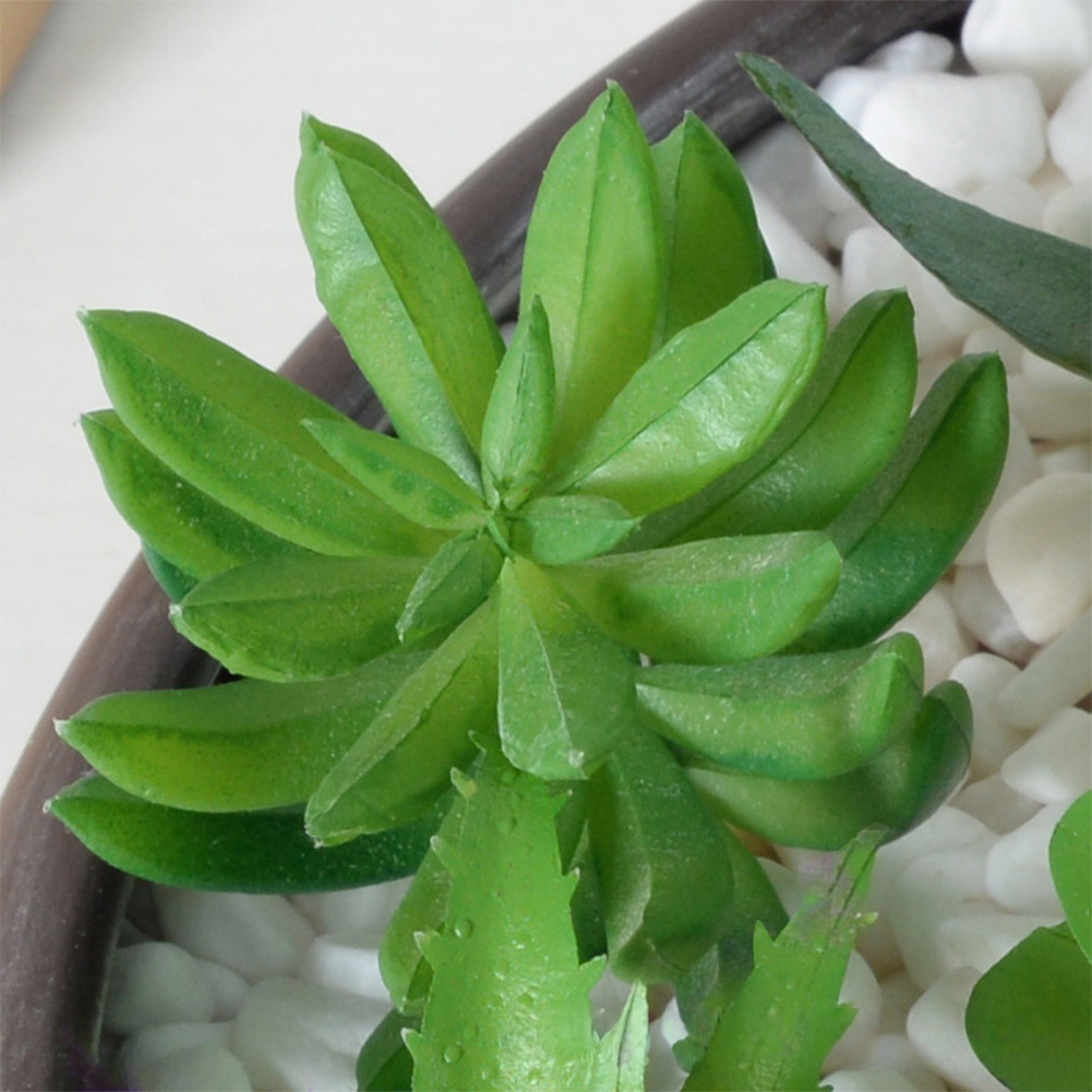Succulent Arrangement Mini - Modern Mini Bonsai Temalı Yapay Sukulent