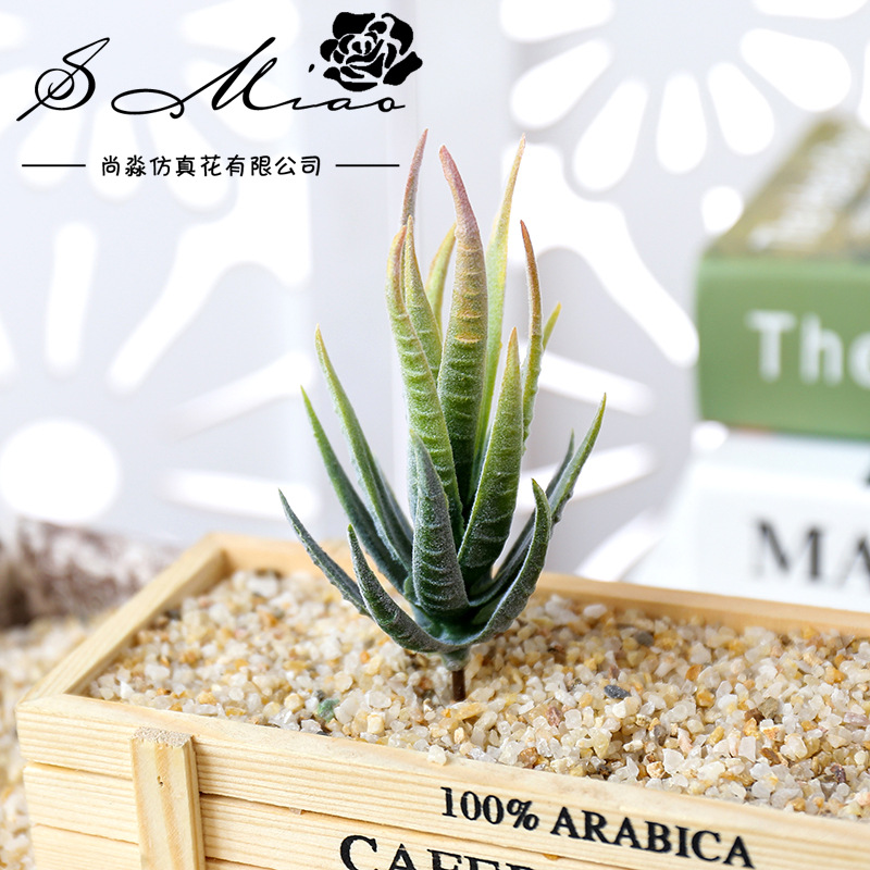 Succulent Arrangement Mini - Wusmart Ban Ma Lu Hui Yapay