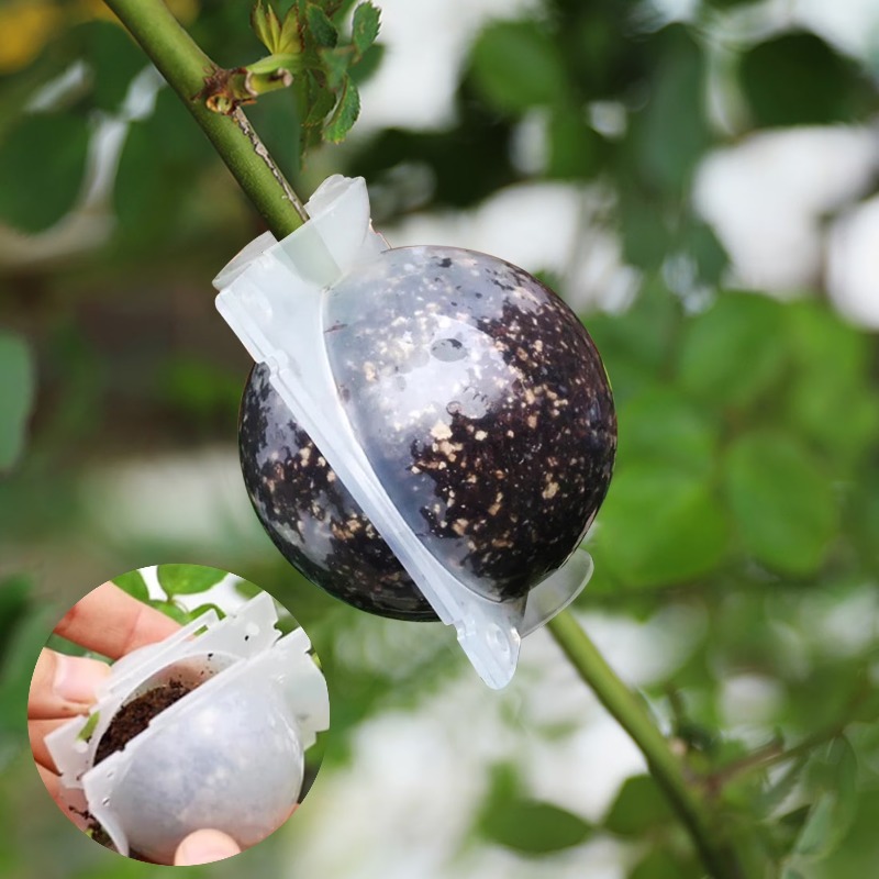 5/30 adet bitki köklendirme to - Plant Parent incelemesi ve fiyatı