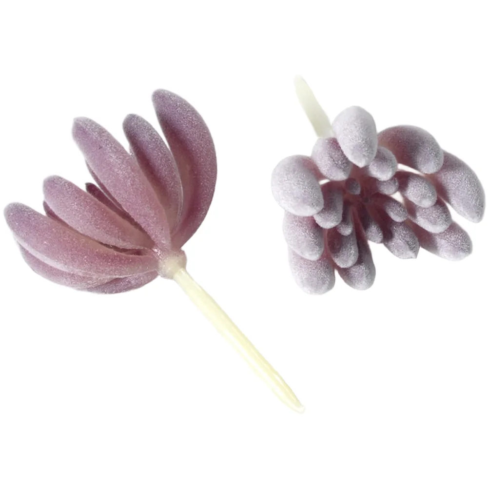 PVC Kaplı Mor Yapay Sukulentle - Succulent Arrangement Mini incelemesi ve fiyatı