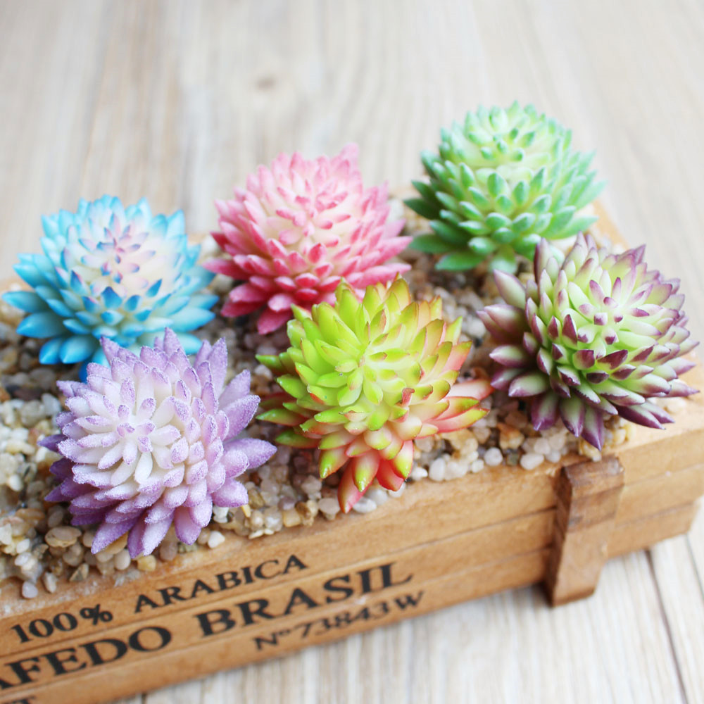 Yapay etli akın bitkiler Mini  - Succulent Arrangement Mini incelemesi ve fiyatı