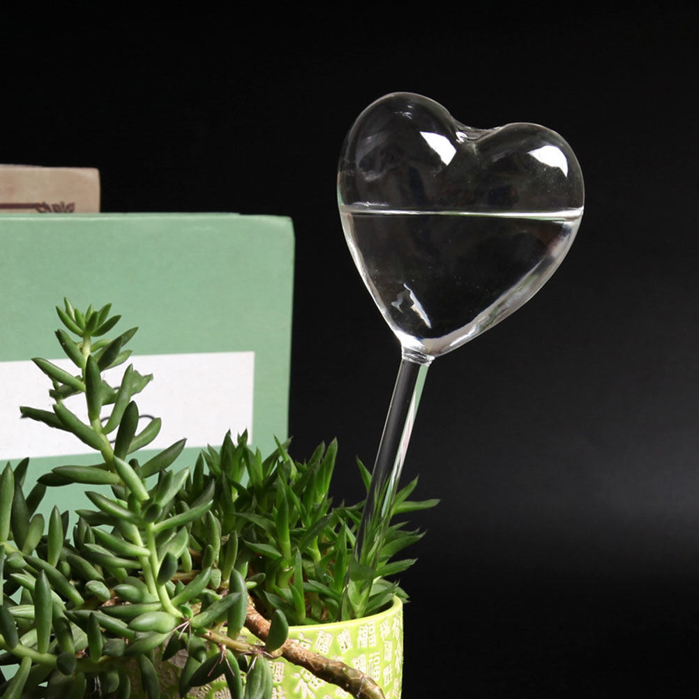 3 adet kalp şeklinde cam kendi - Plant Parent incelemesi ve fiyatı