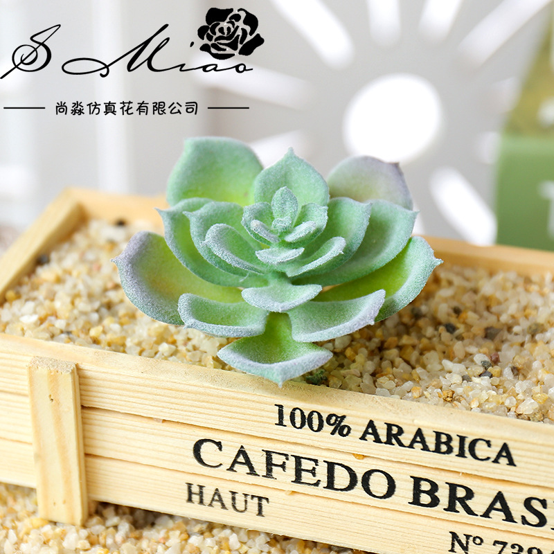 Wusmart Küçük Şui Lian Yapay S - Succulent Arrangement Mini incelemesi ve fiyatı