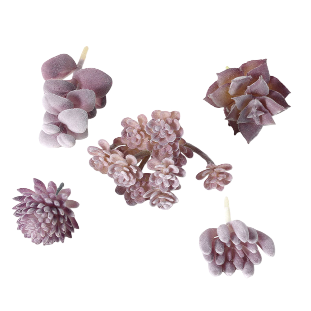 Plastik Bazlı Mini Bonsai Tarz - Succulent Arrangement Mini incelemesi ve fiyatı