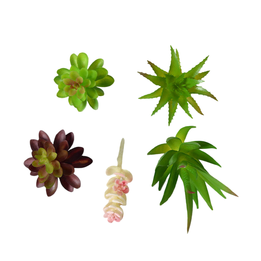 Plastik Bazlı Mini Bonsai Tarz - Succulent Arrangement Mini incelemesi ve fiyatı