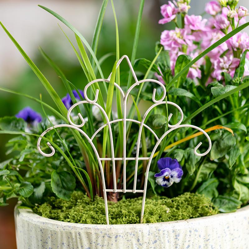 Kaprisli Mini Demir Saksı Çiti - Succulent Arrangement Mini incelemesi ve fiyatı