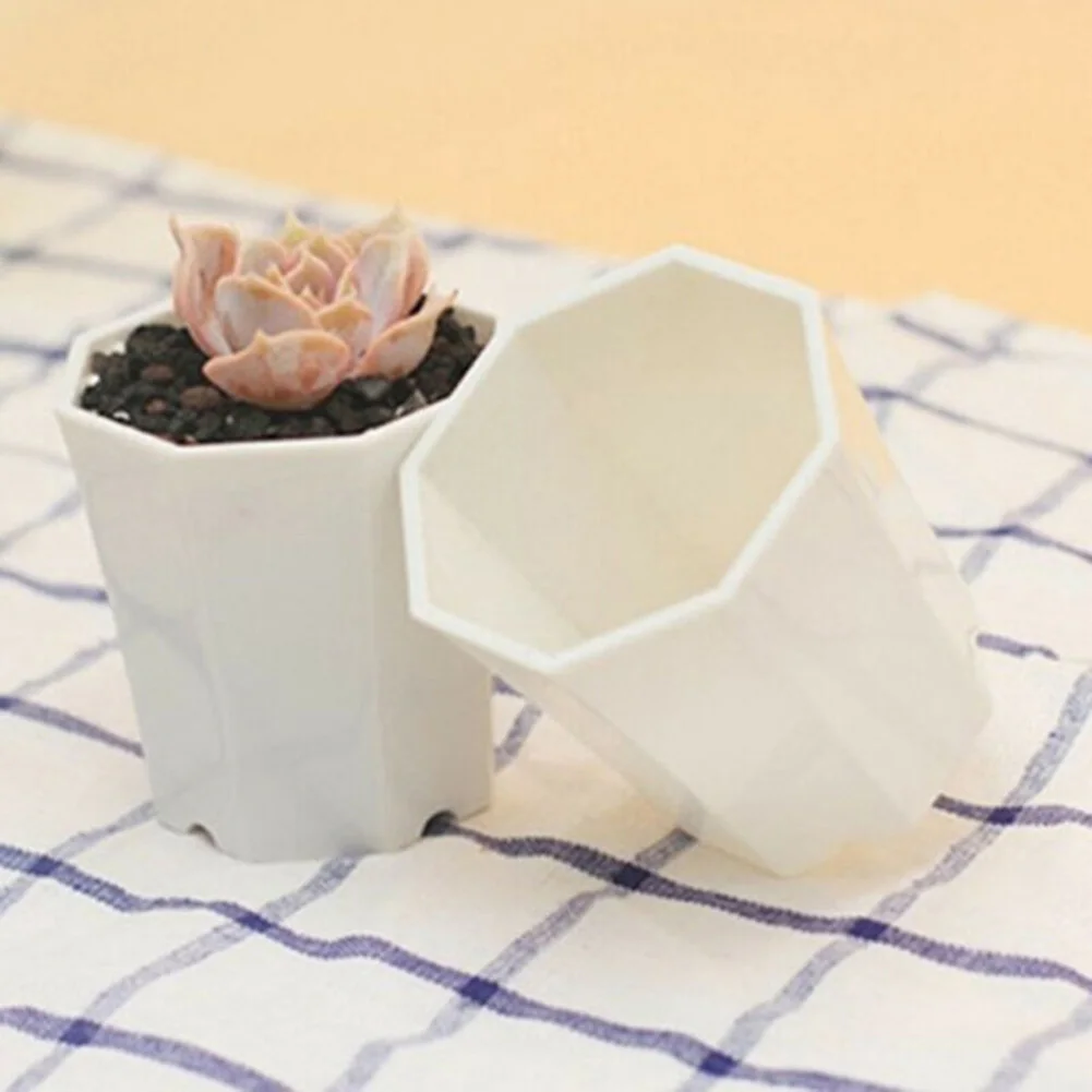 10 adet Plastik Mini Saksılar  - Succulent Arrangement Mini incelemesi ve fiyatı
