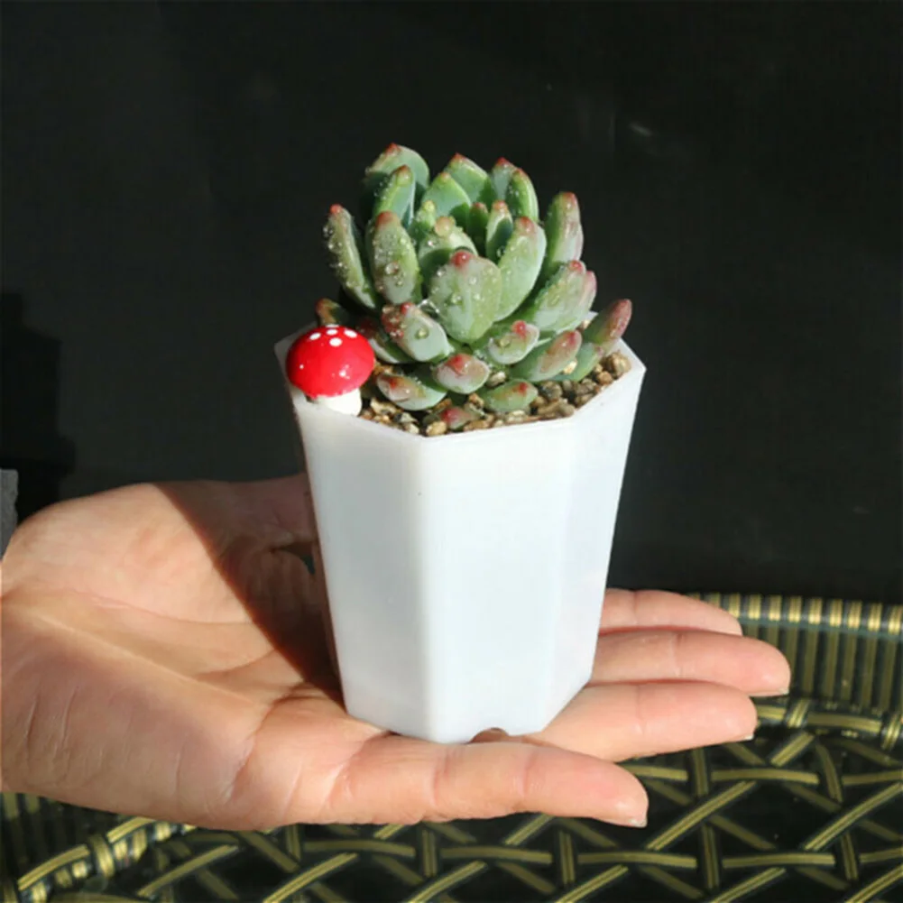 10 adet Plastik Mini Saksılar  - Succulent Arrangement Mini incelemesi ve fiyatı