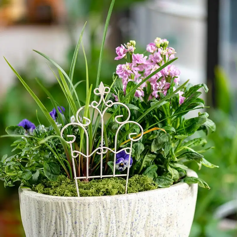 Kaprisli Mini Demir Saksı Çiti - Succulent Arrangement Mini incelemesi ve fiyatı