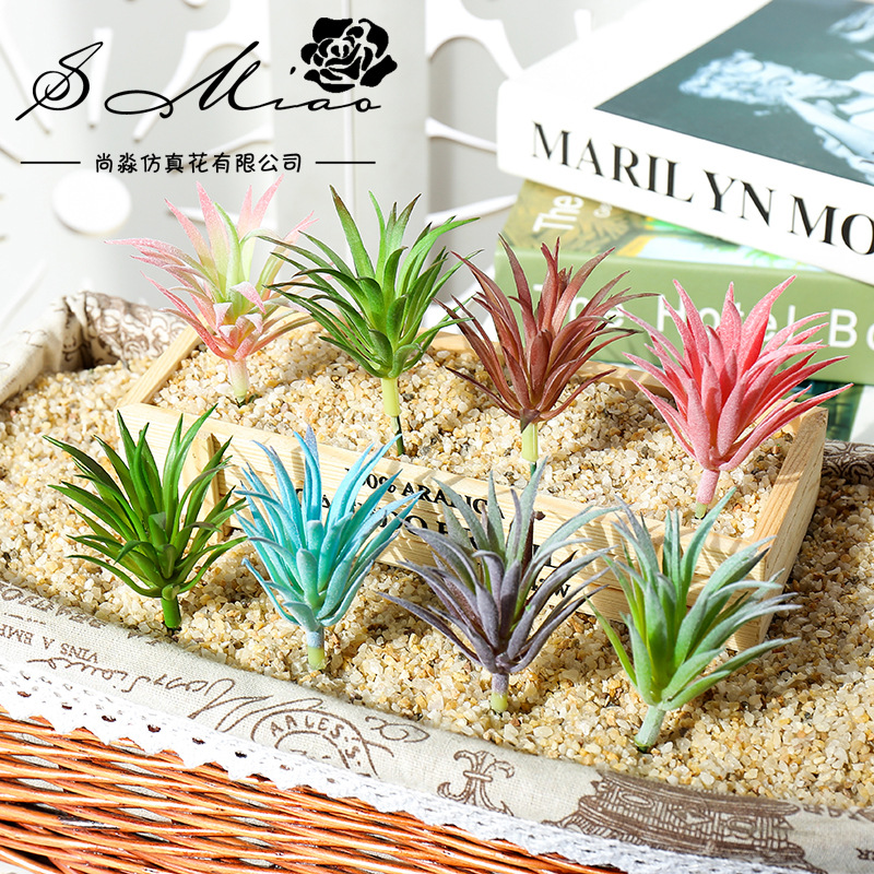 7,5x10cm Mini Ling Jiao Cao Ya - Succulent Arrangement Mini incelemesi ve fiyatı