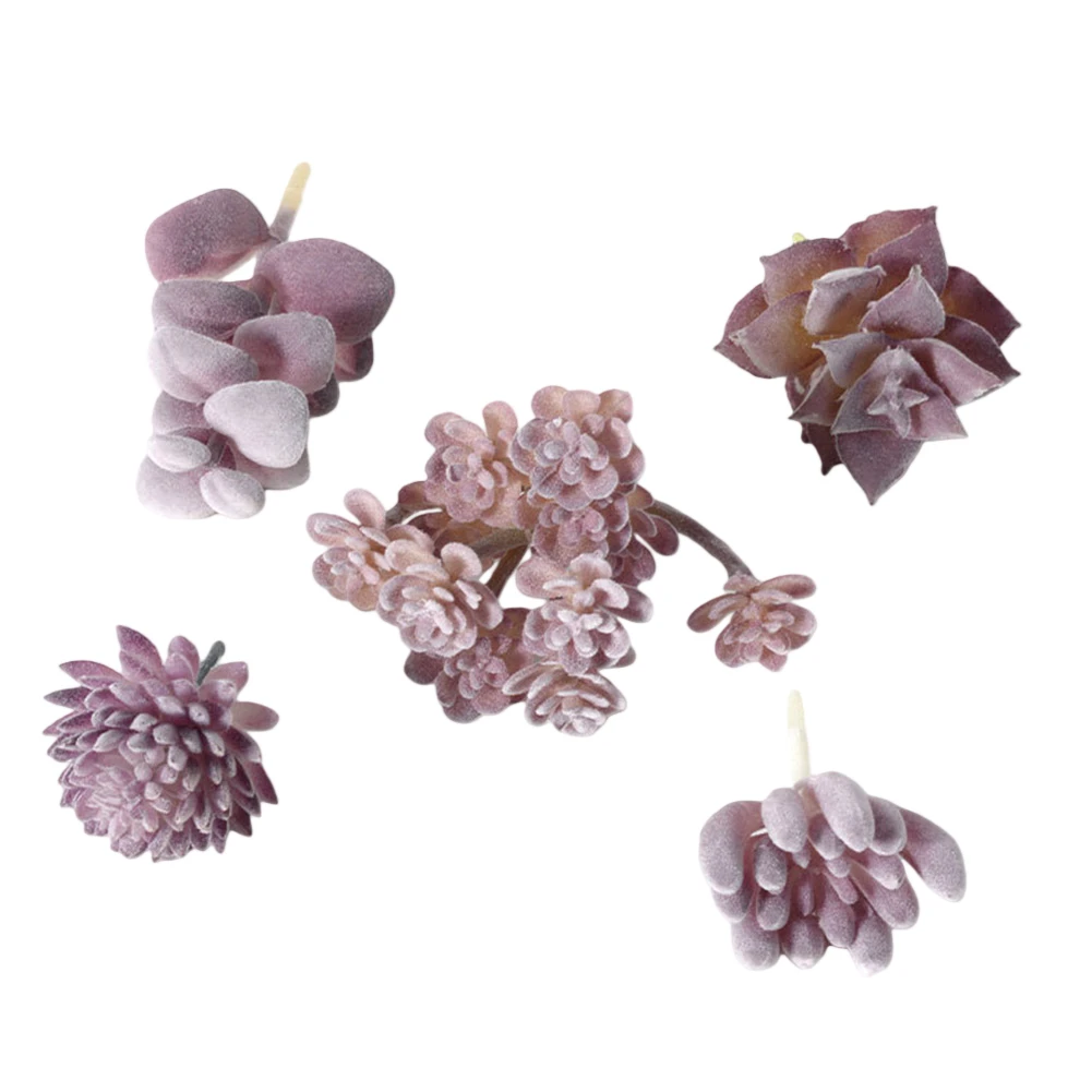 Düşük Bakım Gereksinimli Mini  - Succulent Arrangement Mini incelemesi ve fiyatı