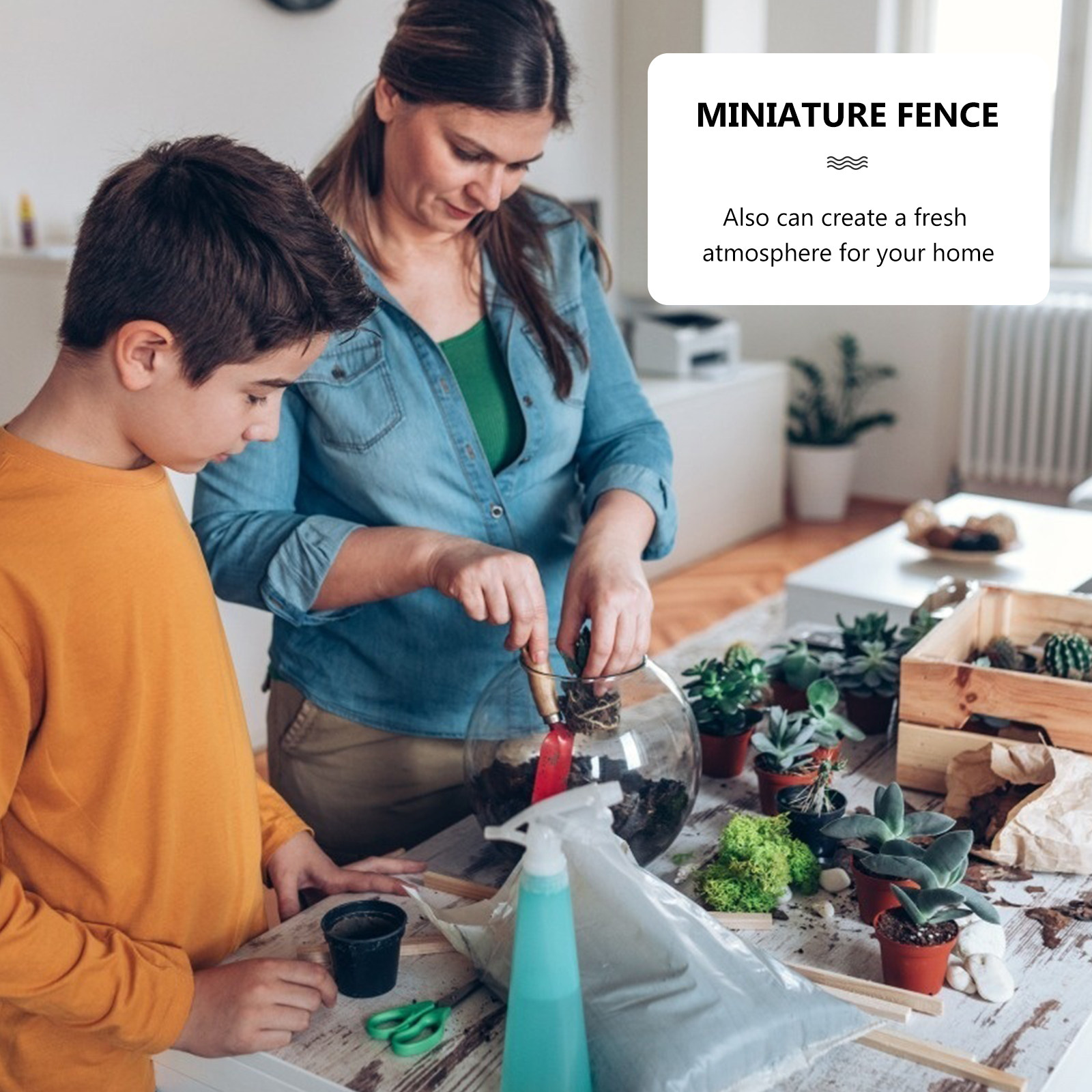 12 adet Mini ahşap çit seti ge - Succulent Arrangement Mini incelemesi ve fiyatı