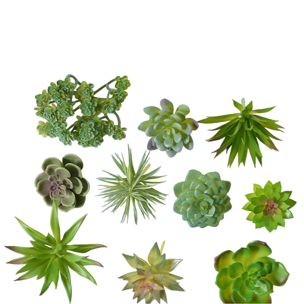 Mini Bonsai Yapay Sukulent Bit - Succulent Arrangement Mini incelemesi ve fiyatı