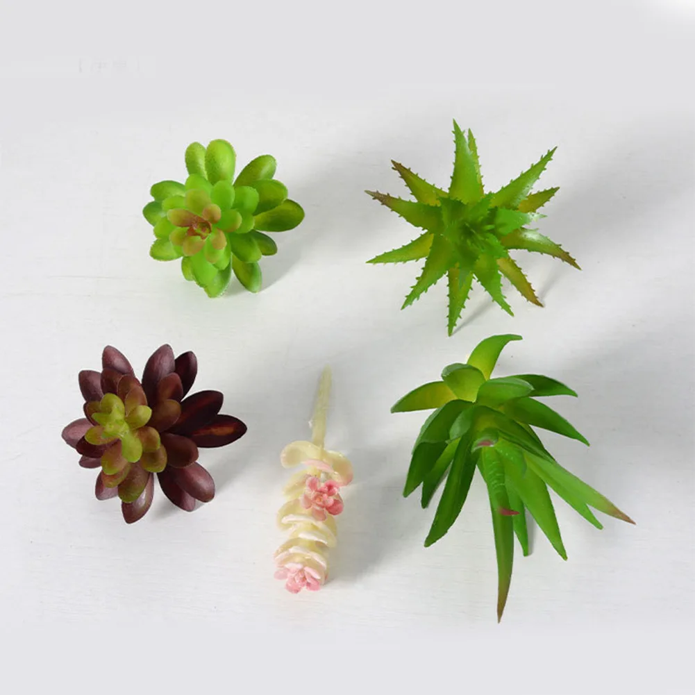 Ev ve Ofis Dekorasyonu İçin Bü - Succulent Arrangement Mini incelemesi ve fiyatı