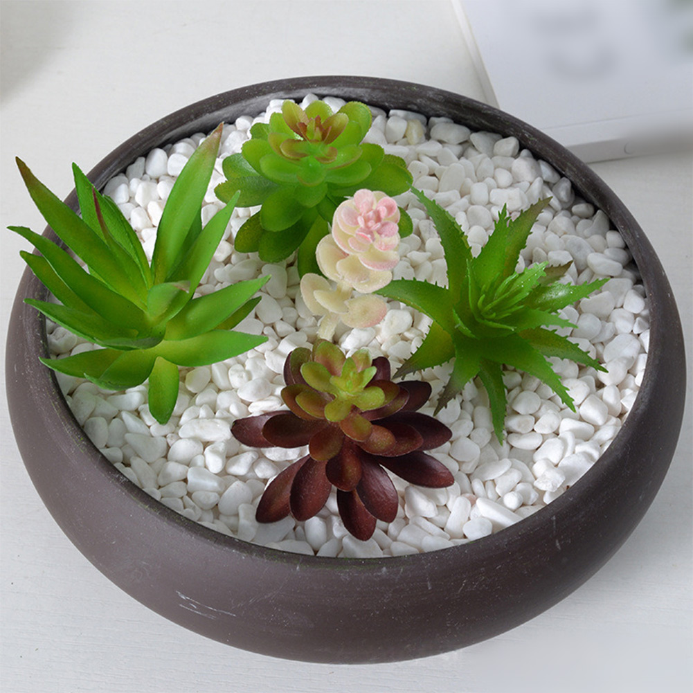 Mini Bonsai Tarzı Yapay Sukule - Succulent Arrangement Mini incelemesi ve fiyatı