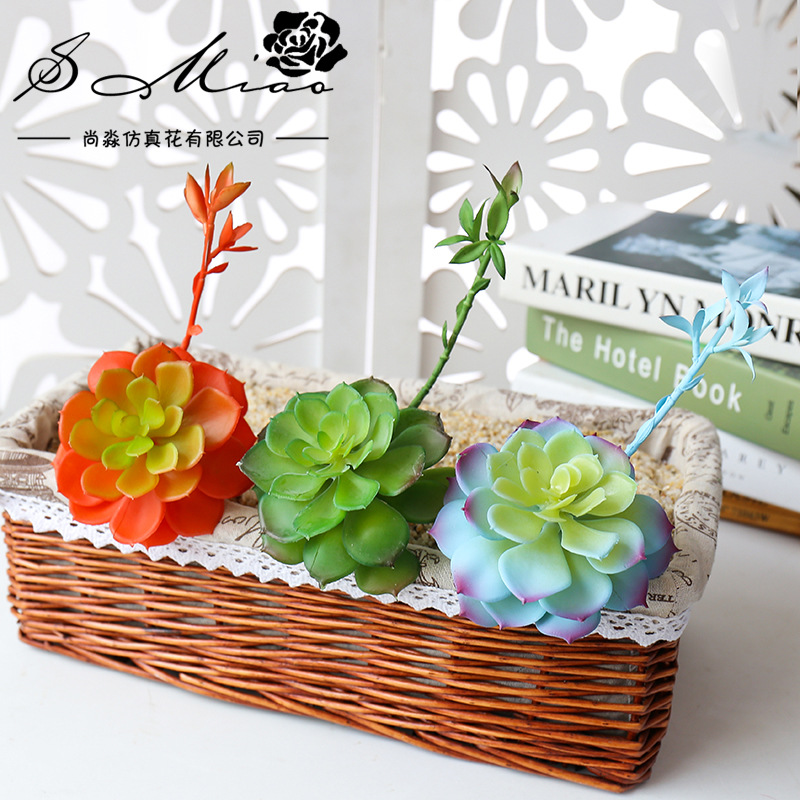 Wusmart Zhong Shi Lian büyük y - Succulent Arrangement Mini incelemesi ve fiyatı