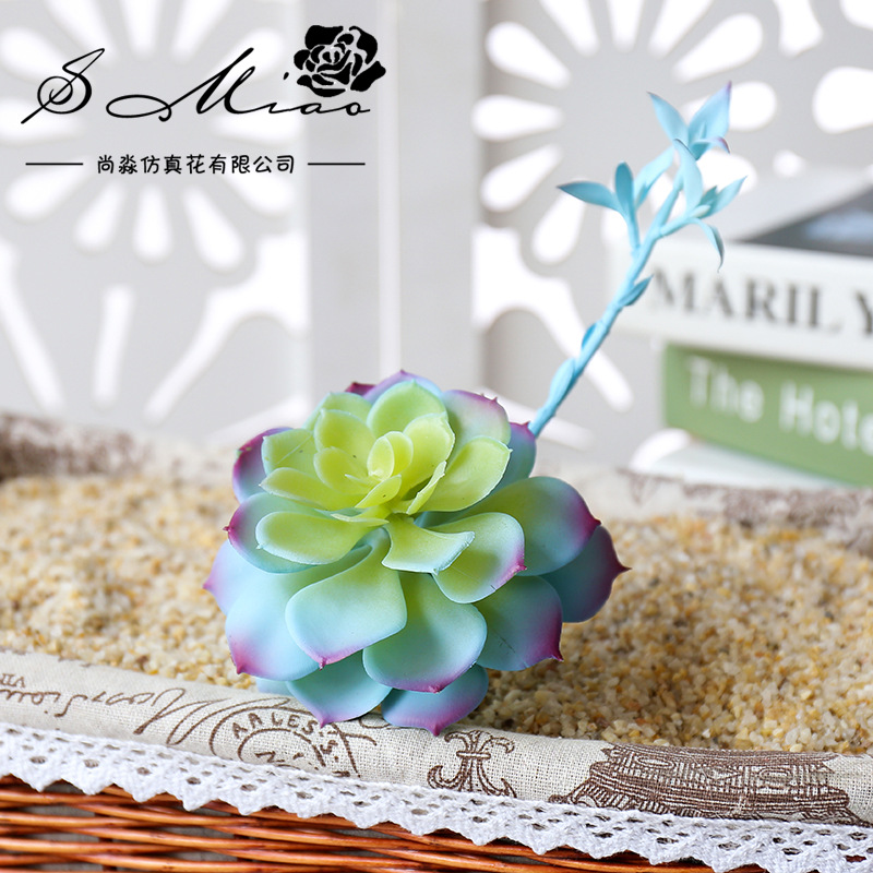 Wusmart Zhong Shi Lian büyük y - Succulent Arrangement Mini incelemesi ve fiyatı
