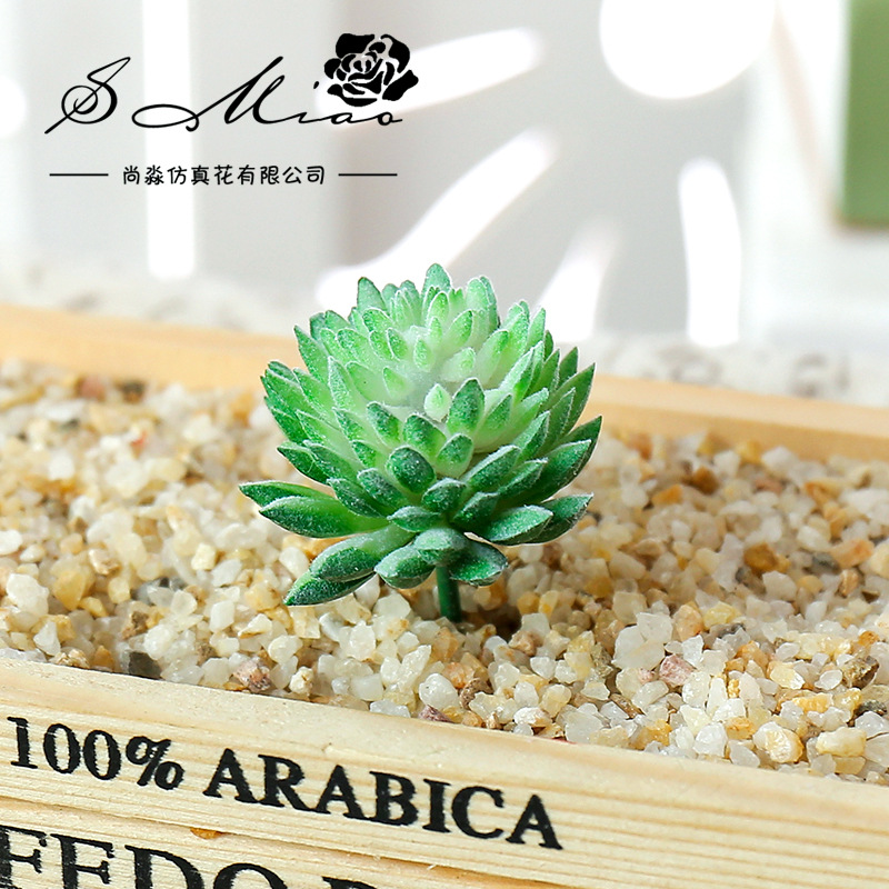 Wusmart Ji Wa Lian yapay Succu - Succulent Arrangement Mini incelemesi ve fiyatı