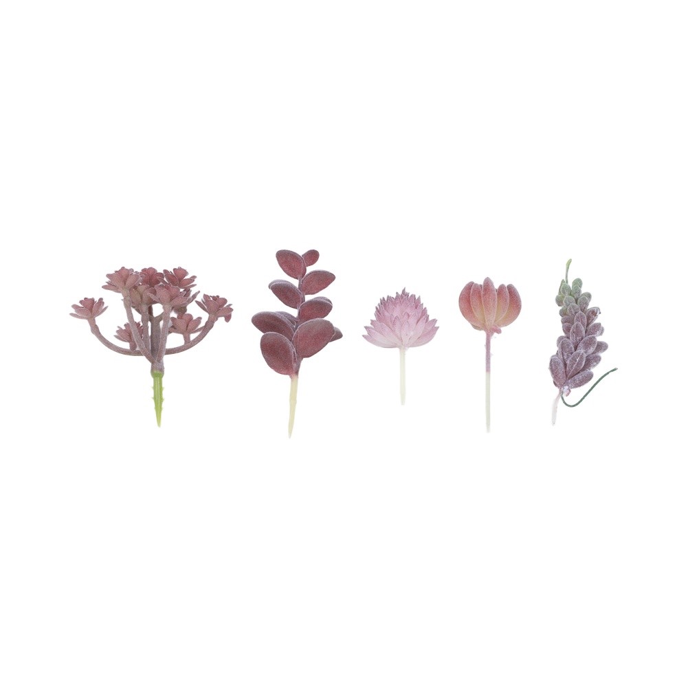 Modern Mini Bonsai Temalı Yapa - Succulent Arrangement Mini incelemesi ve fiyatı