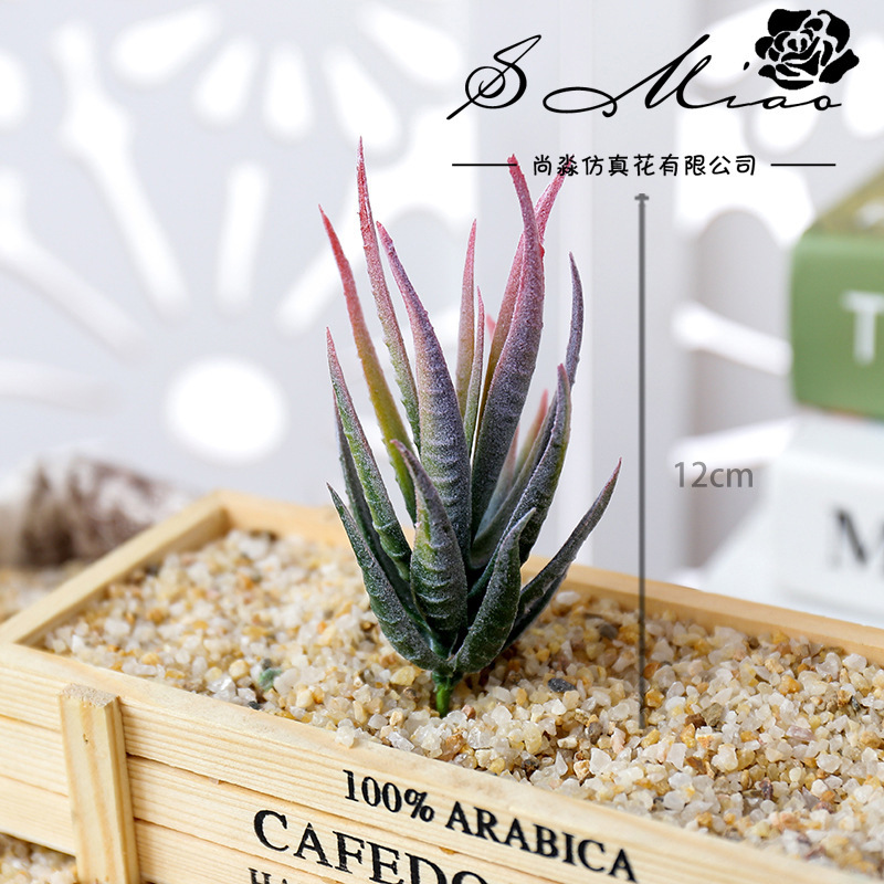 Wusmart Ban Ma Lu Hui Yapay Su - Succulent Arrangement Mini incelemesi ve fiyatı