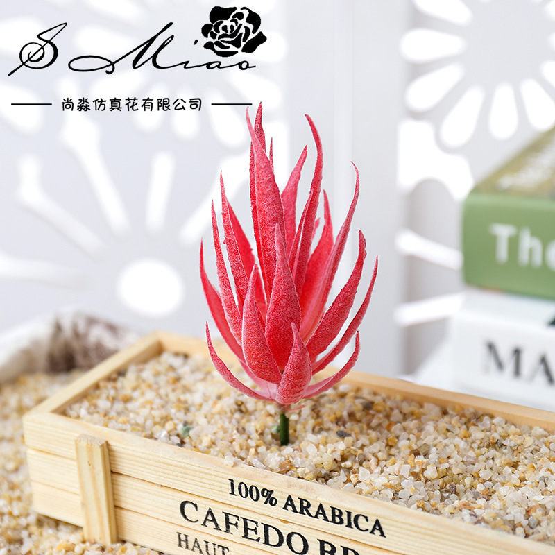 Wusmart Ban Ma Lu Hui Yapay Su - Succulent Arrangement Mini incelemesi ve fiyatı