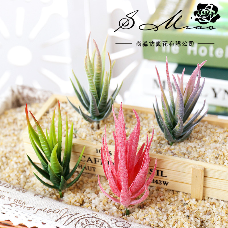 Wusmart Ban Ma Lu Hui Yapay Su - Succulent Arrangement Mini incelemesi ve fiyatı